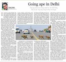 Going ape in delhi. Kathmandu Post 15.08.10